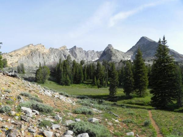 Pioneer Mountains