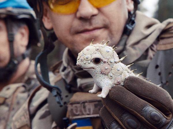 Porcelain War